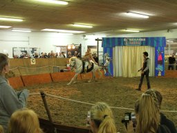 IMG_5261_web